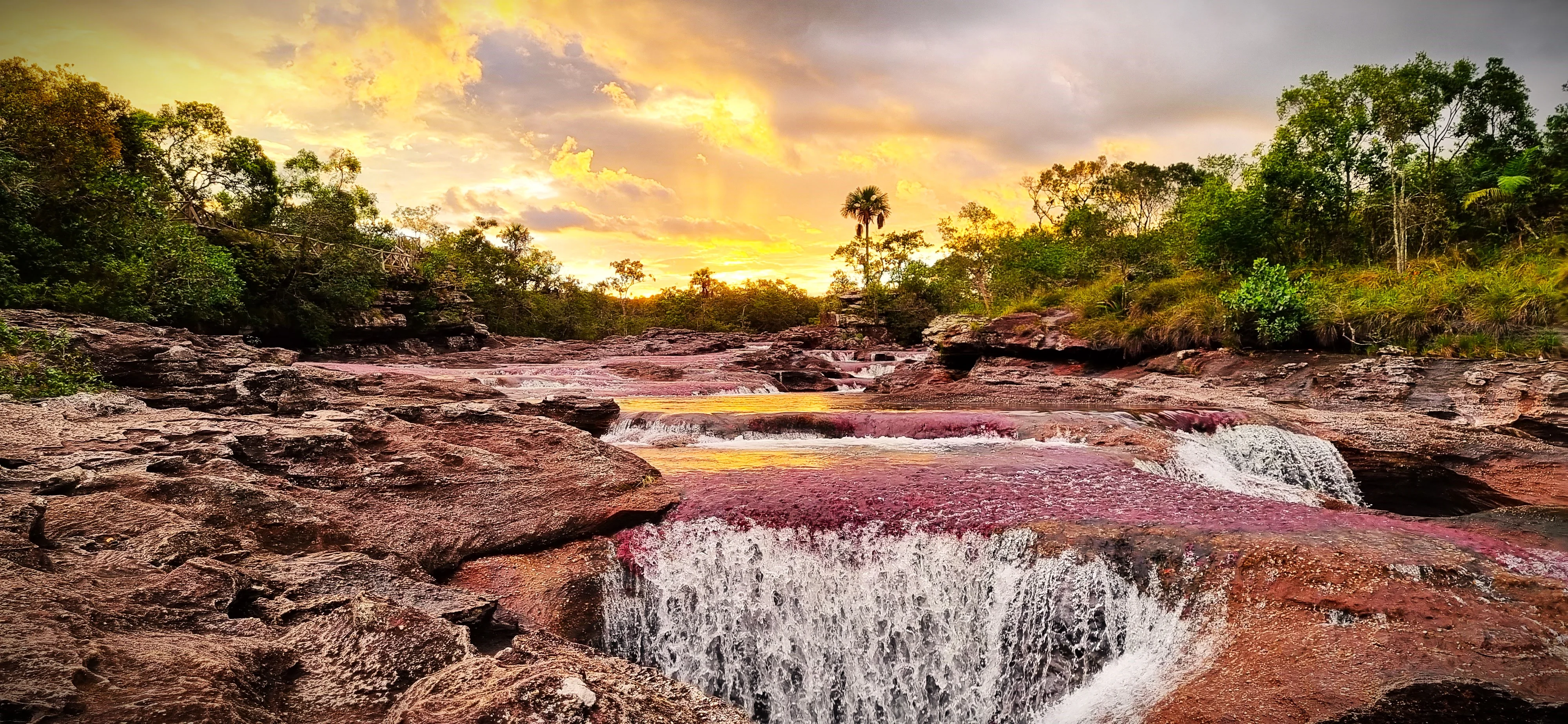 Caño Cristales panorámica