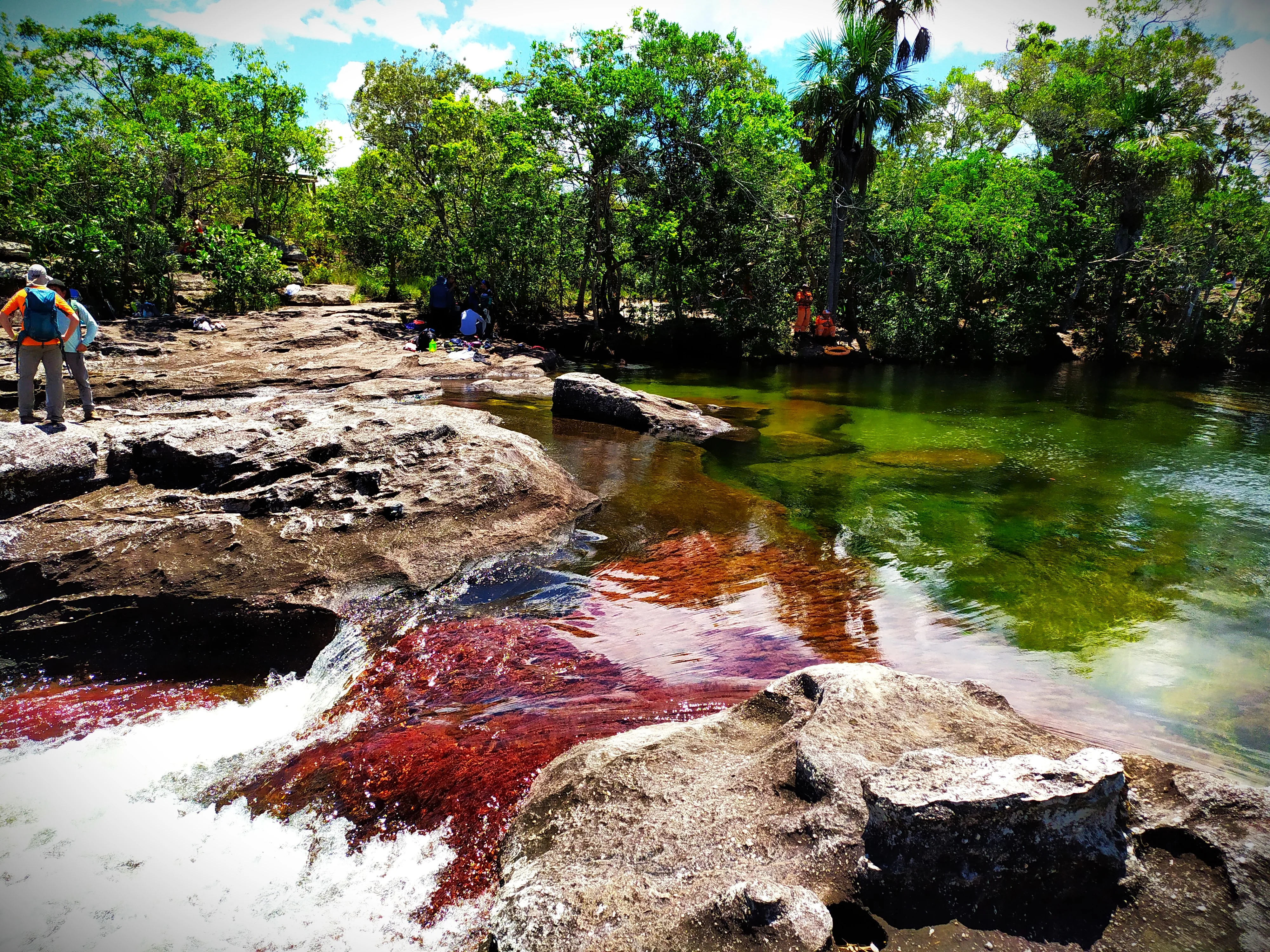 Caño Cristales — Río de los 5 Colores, sendero con Macarenia clavigera