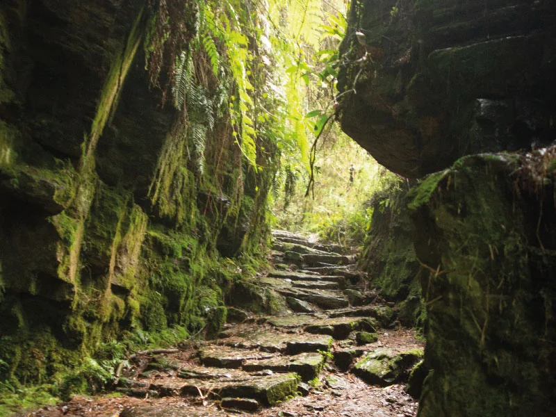 Parque San Rafael Fusagasugá - sendero entre rocas